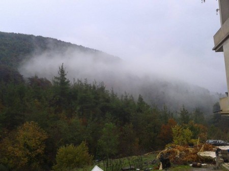 Photo of Latakia forestry taken by the Libyan Shari'a official for the ISIS-front group Katiba al-Muhajireen